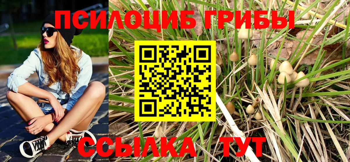 Чебаркуль  Псилоцибиновые грибы мицелий  Псилоцибиновые грибы Psilocybine cubensis  Вход с VPN 