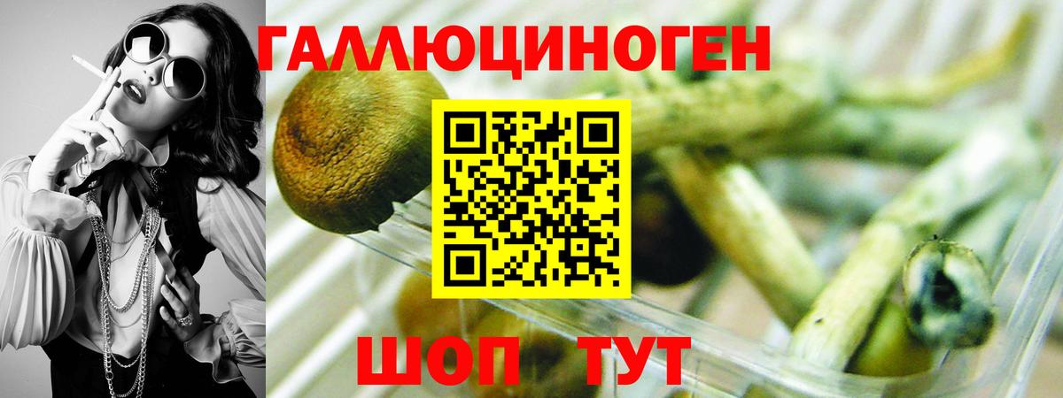 ГАШ  Мефедрон   Кокаин  ГАШ  Лсд 25  Alpha-PVP СК   Бошки Шишки  МДМА  Чебаркуль  Наркошоп  Кодеин  Вход с VPN 